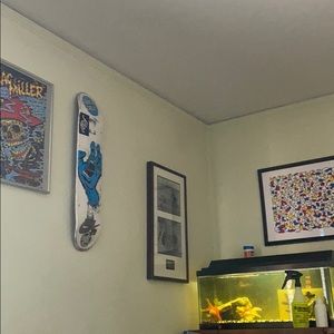 Meet your Posher, Anthony